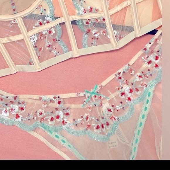 CLEARANCE $̶4̶0̶ Victoria’s Secret Dream Angels Brazilian Panty - Picture 3 of 4